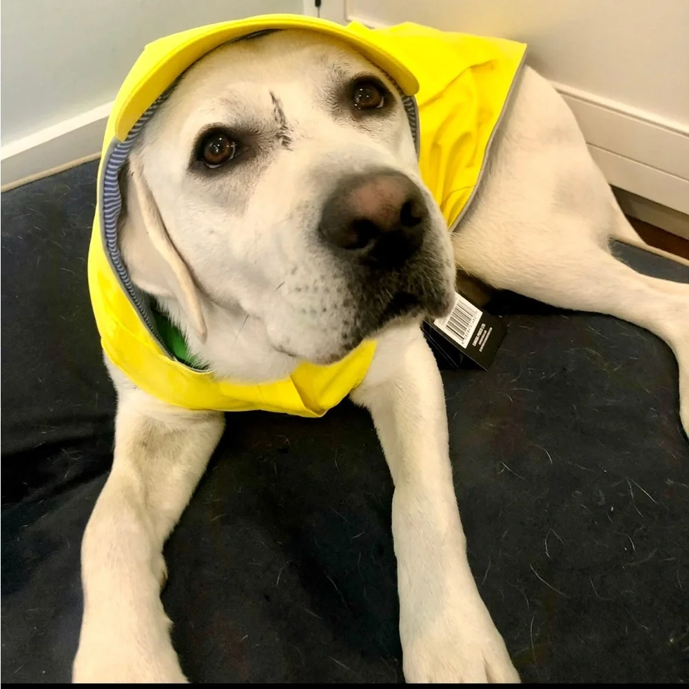 * NWT * Canada Pooch Torrential Tracker Dog Rain Jacket - Easy On